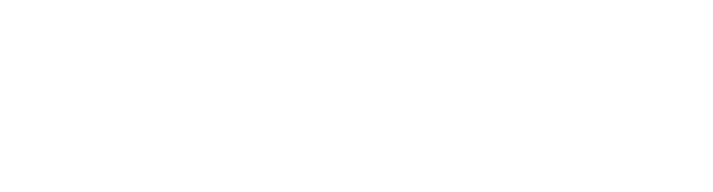 Slovak Elevator Services